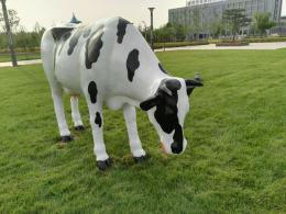 hj2674 玻璃鋼彩繪奶牛雕塑_玻璃鋼彩繪奶牛雕塑_濱州宏景雕塑有限公司