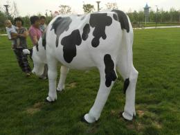 hj2676 玻璃鋼彩繪奶牛雕塑_玻璃鋼彩繪奶牛雕塑_濱州宏景雕塑有限公司