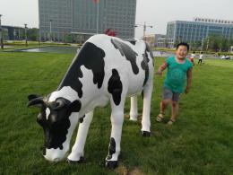 hj2686 玻璃鋼彩繪奶牛雕塑_玻璃鋼彩繪奶牛雕塑_濱州宏景雕塑有限公司